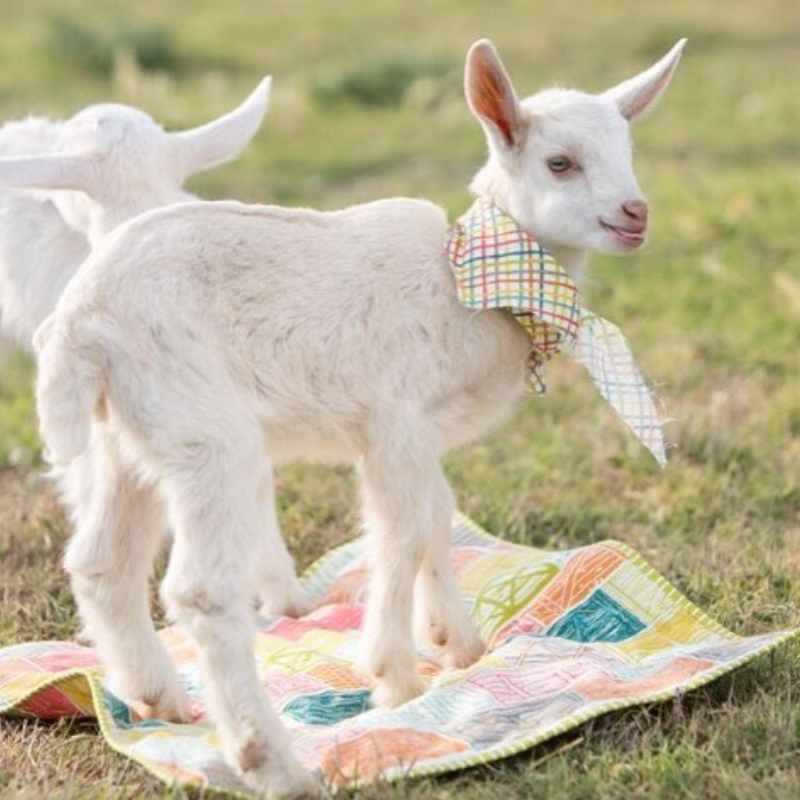 Fat quarter bundle "Farm Fresh"